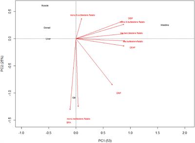Biomarkers of Exposure to Chemical Contamination in the Commercial Fish Species Lepidopus caudatus (Euphrasen, 1788): A Particular Focus on Plastic Additives